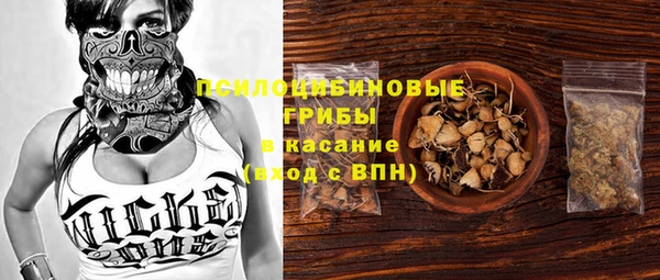 ГАЛЛЮЦИНОГЕННЫЕ ГРИБЫ Березники